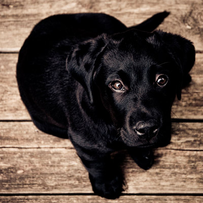 在线DDOS压力测试网页端