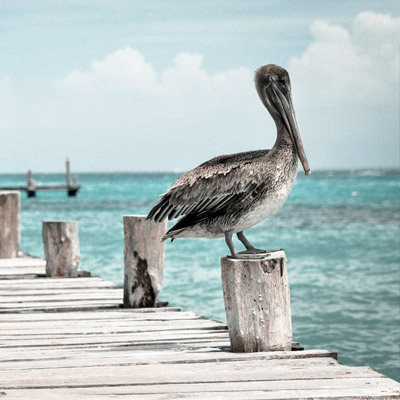 ddos攻击防御手段